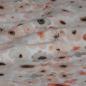 Preview: French Terry Blütenblätter rosa apricot - Bio